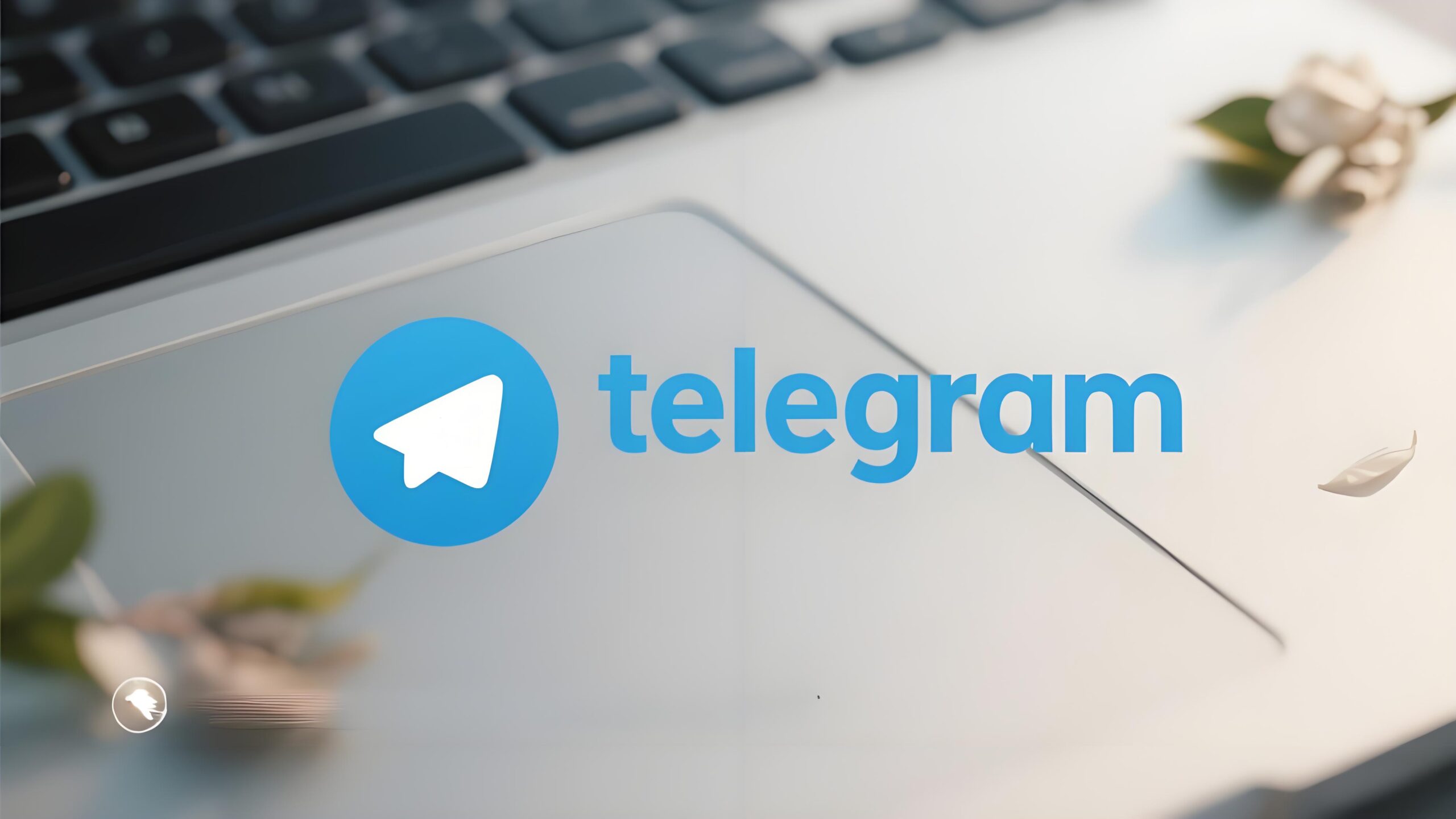 Telegram 最新功能搶先用:開啟技巧全揭秘